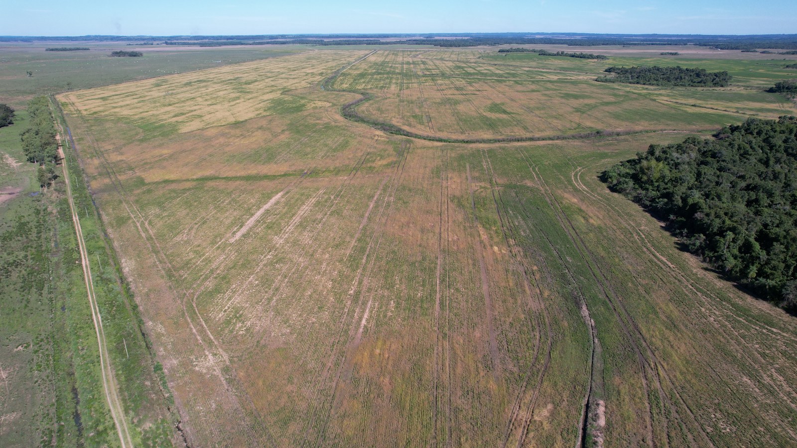 Unique Investment Opportunity In Paraguay 2508 Hectares Prime Cropping